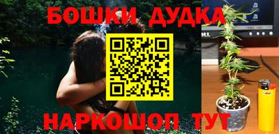 прущие крисы Бийск