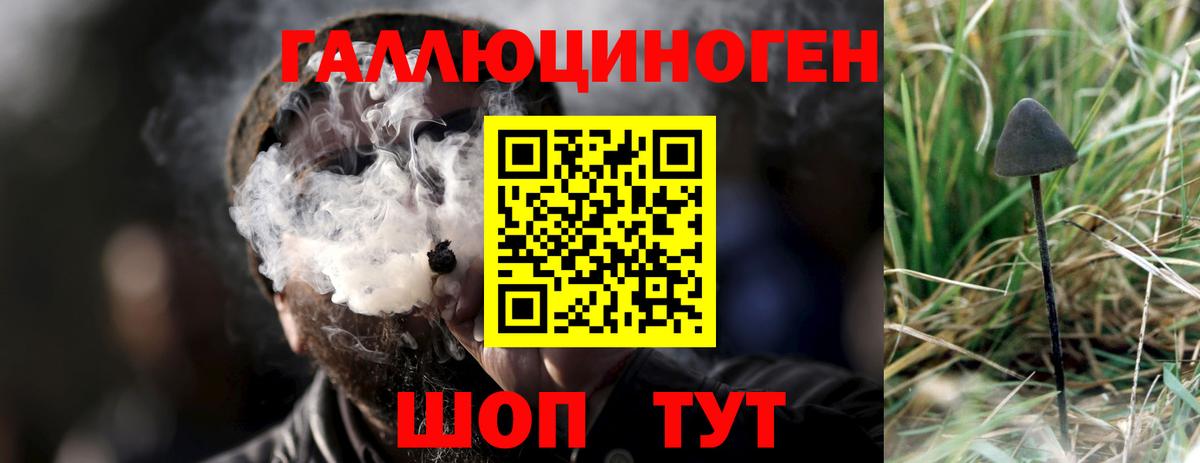 MDMA  МЕФ кристаллы  Гусиноозёрск  Кетамин  КОКАИН  Гашиш  МЕТ  Канабис  ЭКСТАЗИ  Лсд 25 